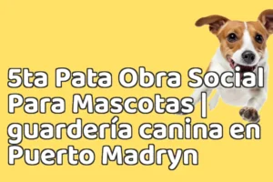 5ta Pata Obra Social Para Mascotas | guardería canina en Puerto Madryn