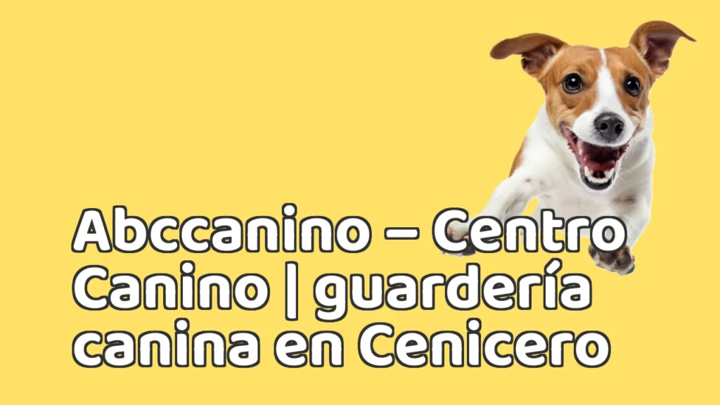 Guarderia Canina en Abccanino – Centro Canino | guardería canina en Cenicero Guarderia Canina en Abccanino – Centro Canino | guardería canina en Cenicero