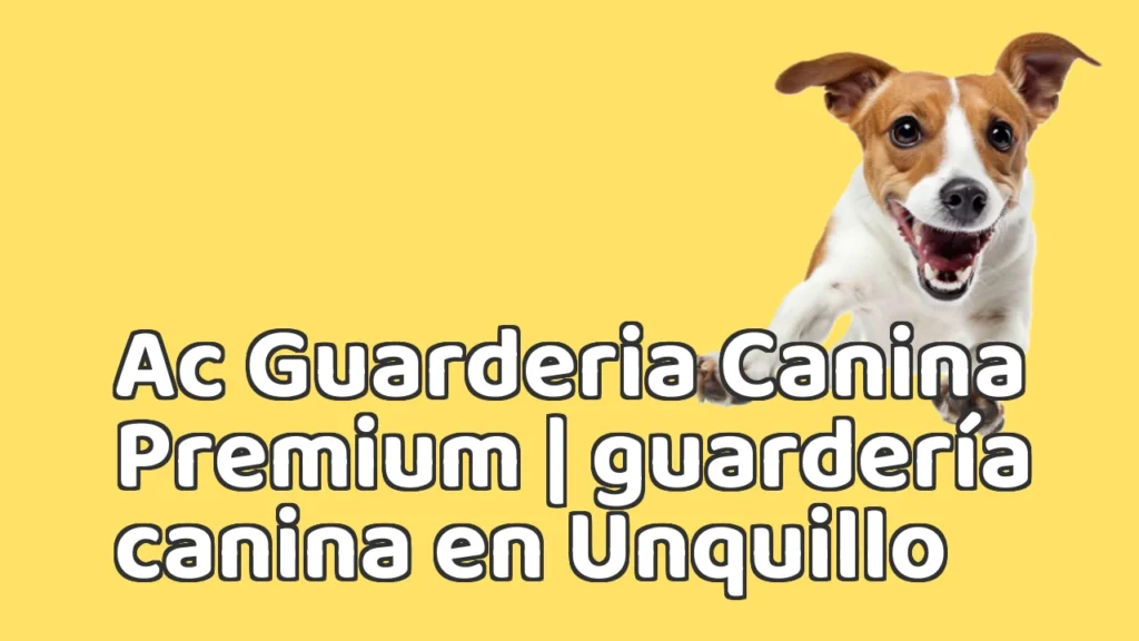 Guarderia Canina en Ac Guarderia Canina Premium | guardería canina en Unquillo
