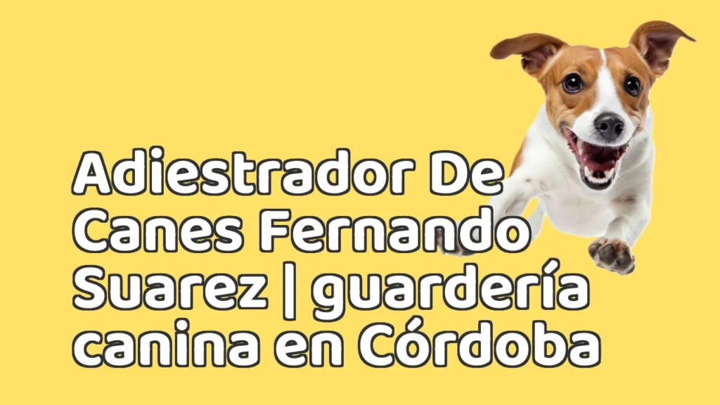 Guarderia Canina en Adiestrador De Canes Fernando Suarez | guardería canina en Córdoba