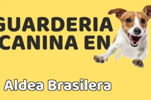 Guardería canina en Aldea Brasilera