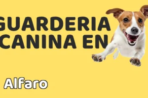 Guardería canina en Alfaro