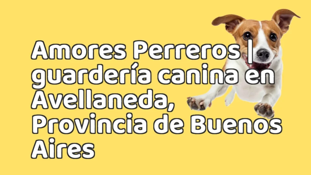 Guarderia Canina en Amores Perreros | guardería canina en Avellaneda, Provincia de Buenos Aires