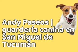 Andy Paseos | guardería canina en San Miguel de Tucumán
