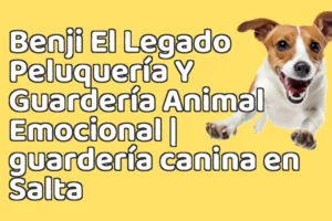 Benji El Legado Peluquería Y Guardería Animal Emocional | guardería canina en Salta