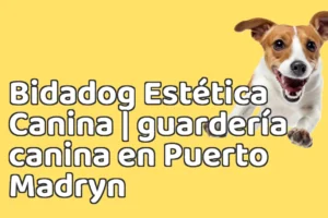 Bidadog Estética Canina | guardería canina en Puerto Madryn