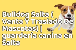 Bulldog Salta ( Venta Y Traslado De Mascotas) | guardería canina en Salta