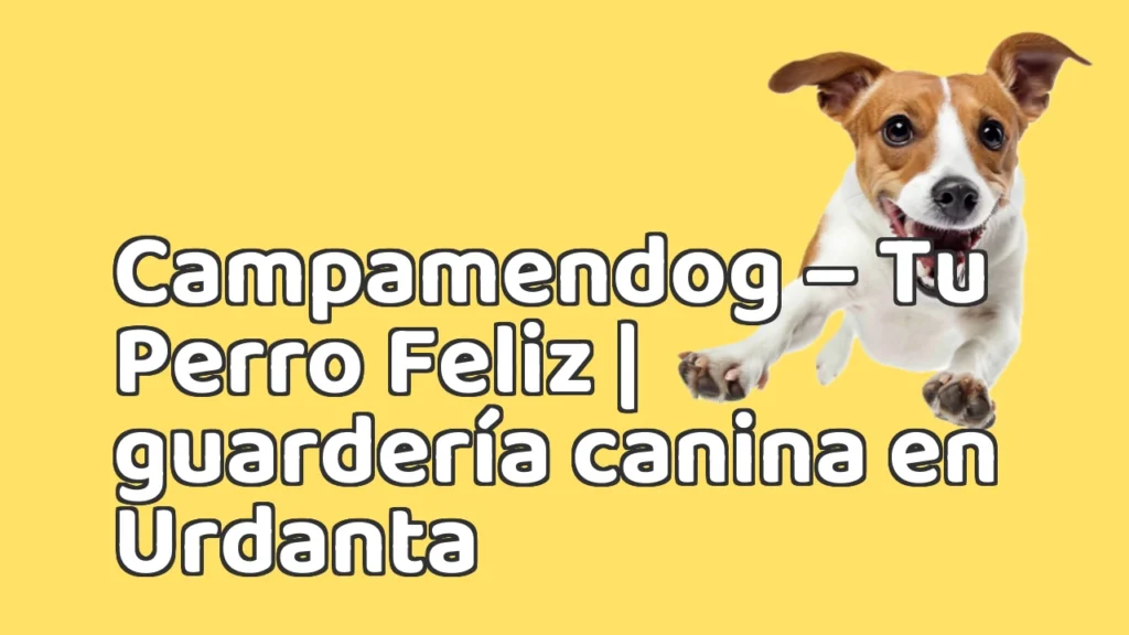 Guarderia Canina en Campamendog – Tu Perro Feliz | guardería canina en Urdanta Guarderia Canina en Campamendog – Tu Perro Feliz | guardería canina en Urdanta