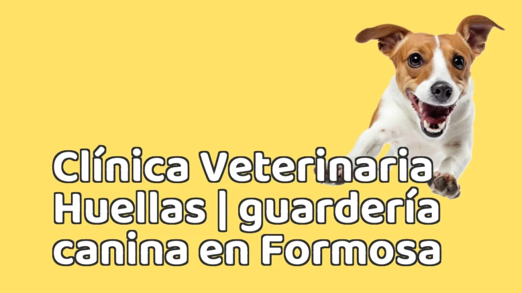 Guarderia Canina en Clínica Veterinaria Huellas | guardería canina en Formosa Guarderia Canina en Clínica Veterinaria Huellas | guardería canina en Formosa