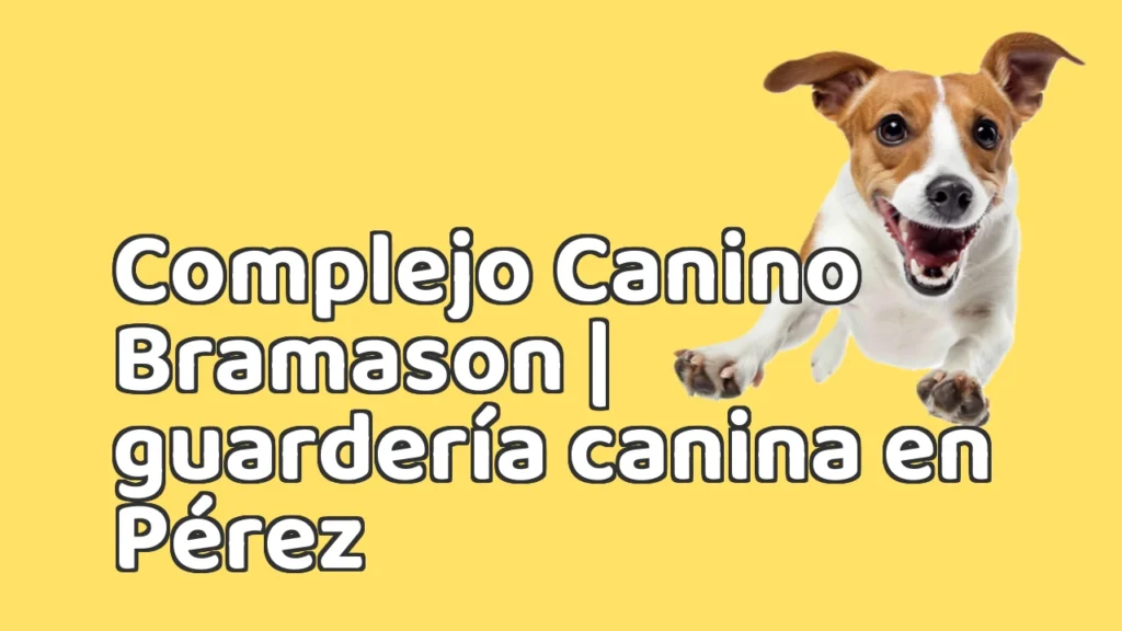 Guarderia Canina en Complejo Canino Bramason | guardería canina en Pérez Guarderia Canina en Complejo Canino Bramason | guardería canina en Pérez