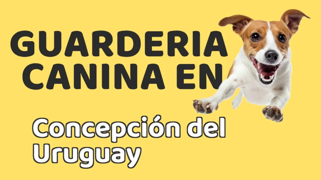 Guarderia Canina en Guardería canina en Concepción del Uruguay