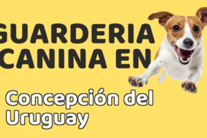 Guardería canina en Concepción del Uruguay