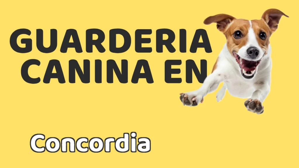 Guarderia Canina en Guardería canina en Concordia