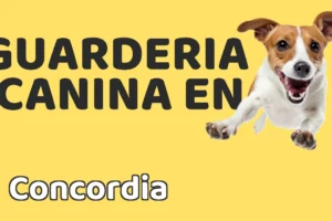Guardería canina en Concordia