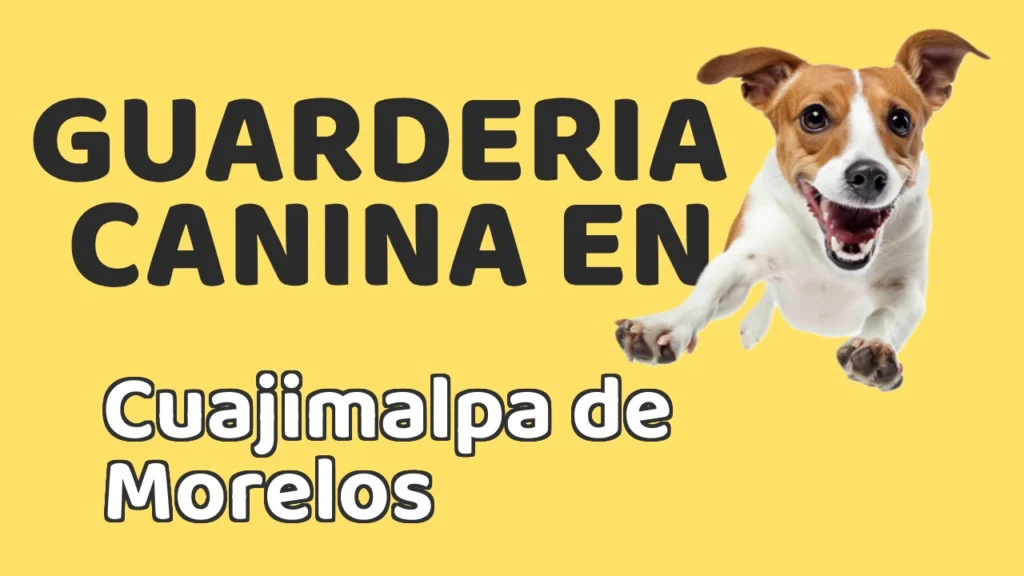 Guarderia Canina en Guardería canina en Cuajimalpa de Morelos