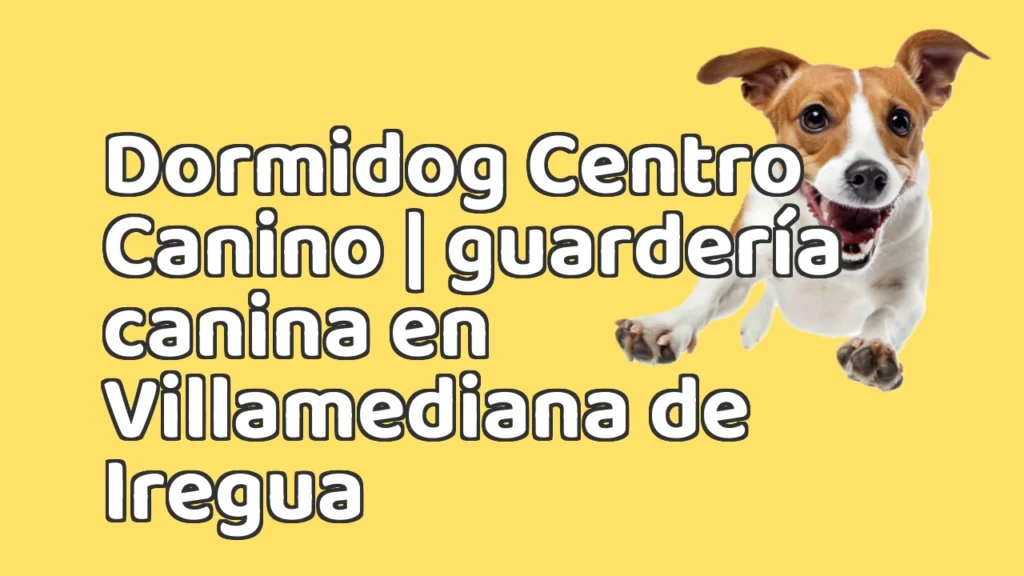 Guarderia Canina en Dormidog Centro Canino | guardería canina en Villamediana de Iregua Guarderia Canina en Dormidog Centro Canino | guardería canina en Villamediana de Iregua