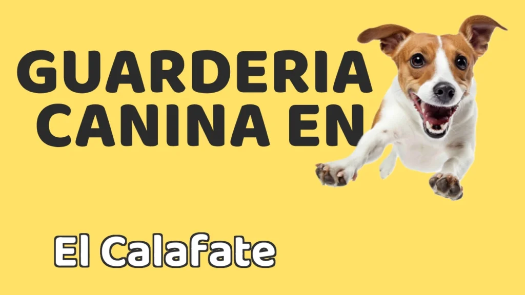 Guarderia Canina en Guardería canina en El Calafate