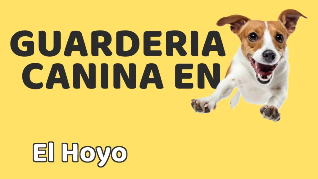 Guarderia Canina en Guardería canina en El Hoyo
