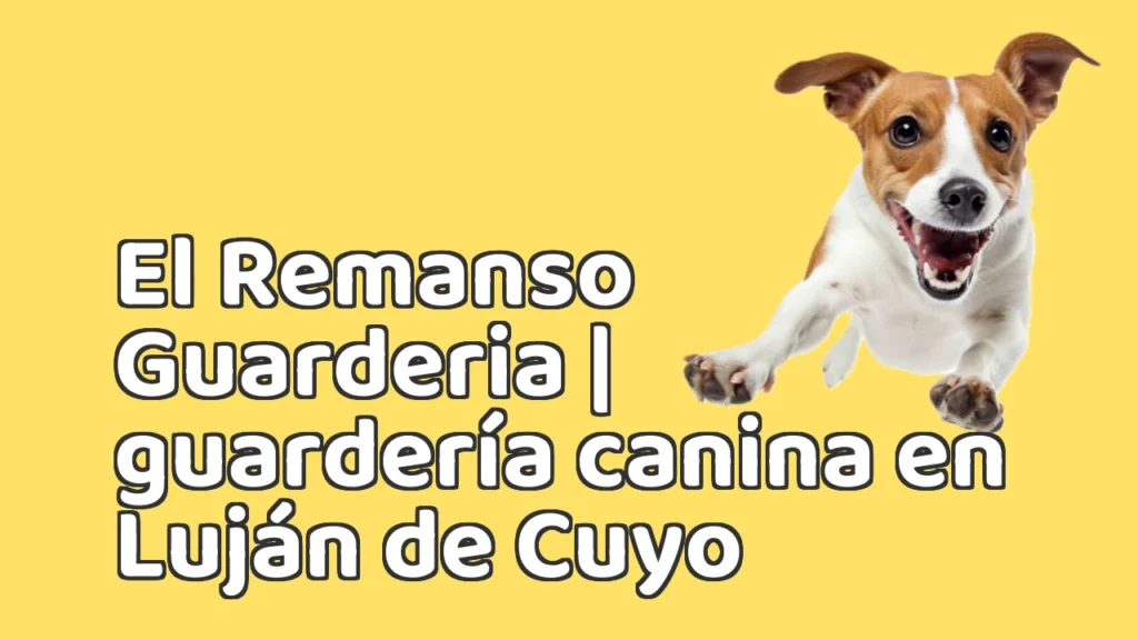 Guarderia Canina en El Remanso Guarderia | guardería canina en Luján de Cuyo Guarderia Canina en El Remanso Guarderia | guardería canina en Luján de Cuyo