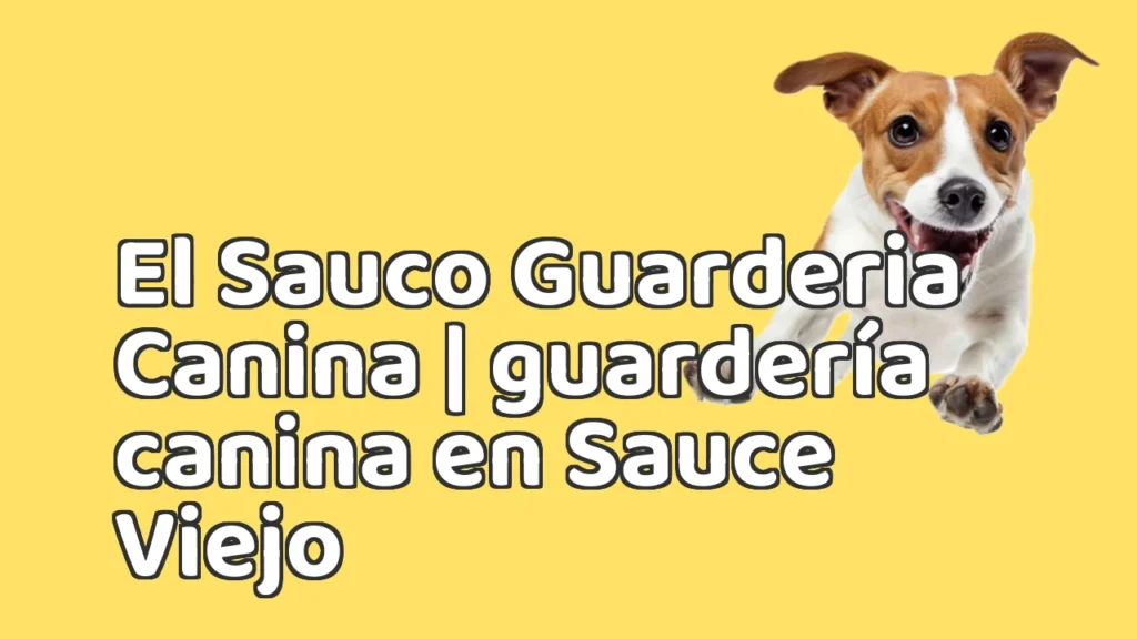 Guarderia Canina en El Sauco Guarderia Canina | guardería canina en Sauce Viejo Guarderia Canina en El Sauco Guarderia Canina | guardería canina en Sauce Viejo