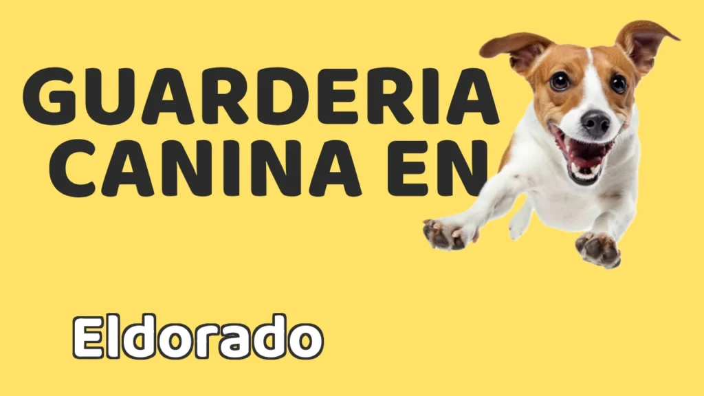 Guarderia Canina en Guardería canina en Eldorado