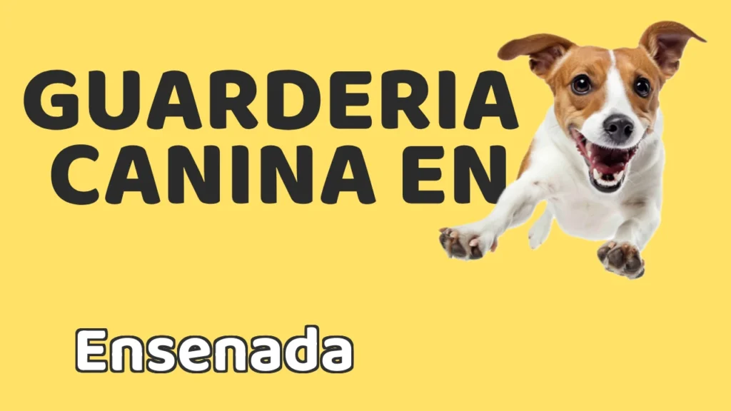 Guarderia Canina en Guardería canina en Ensenada