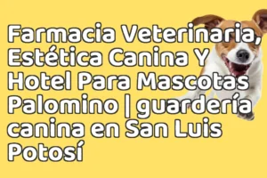 Farmacia Veterinaria, Estética Canina Y Hotel Para Mascotas Palomino | guardería canina en San Luis Potosí