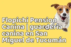 Flopichi Pension Canina | guardería canina en San Miguel de Tucumán