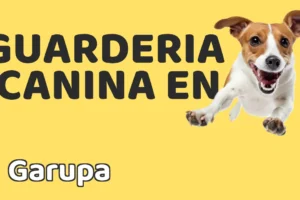 Guardería canina en Garupa