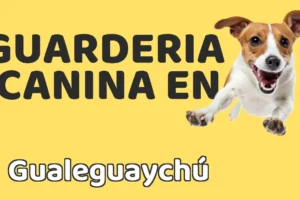 Guardería canina en Gualeguaychú
