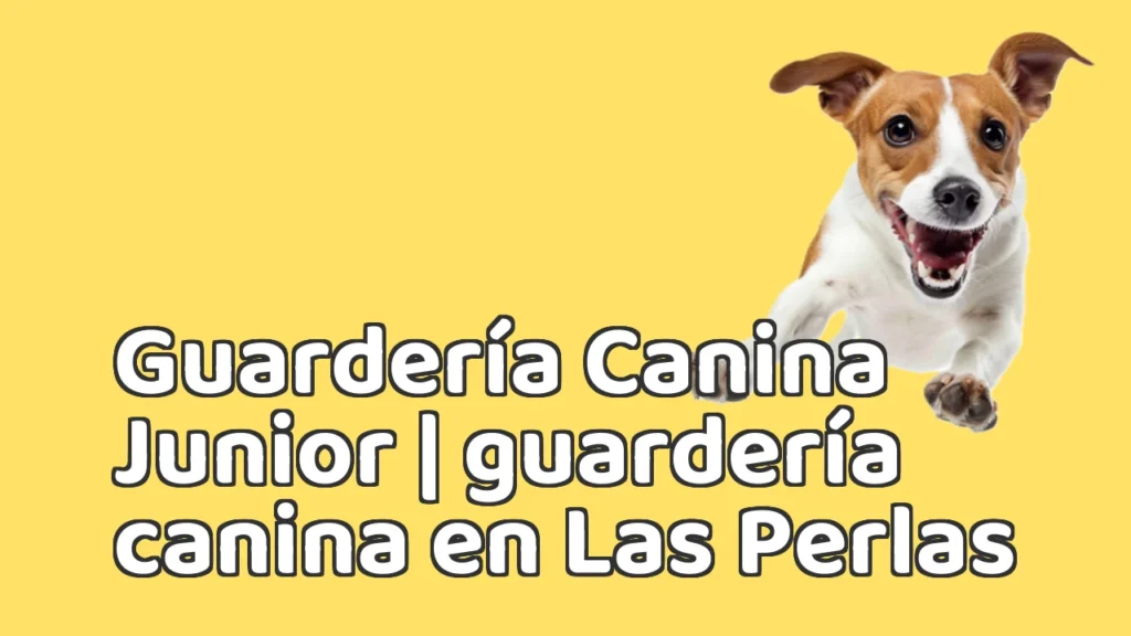 Guarderia Canina en Guardería Canina Junior | guardería canina en Las Perlas