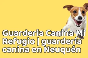 Guarderia Canina Mi Refugio | guardería canina en Neuquén