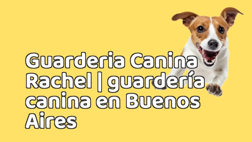 Guarderia Canina en Guarderia Canina Rachel | guardería canina en Buenos Aires Guarderia Canina en Guarderia Canina Rachel | guardería canina en Buenos Aires