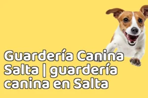 Guardería Canina Salta | guardería canina en Salta