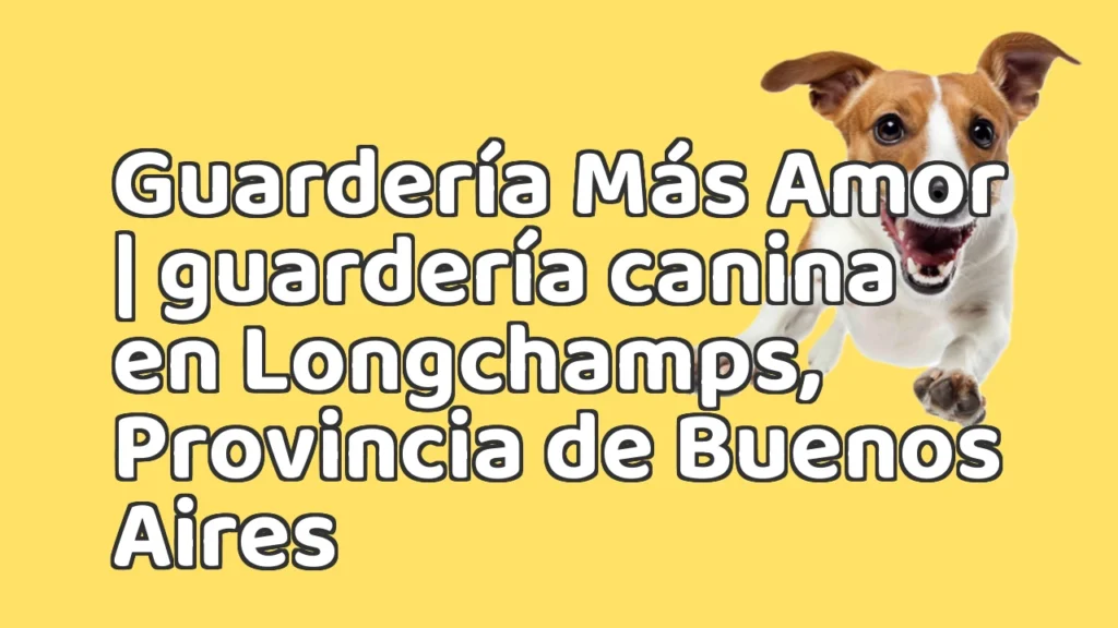 Guarderia Canina en Guardería Más Amor | guardería canina en Longchamps, Provincia de Buenos Aires Guarderia Canina en Guardería Más Amor | guardería canina en Longchamps, Provincia de Buenos Aires