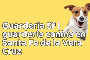 Guarderia Sf | guardería canina en Santa Fe de la Vera Cruz