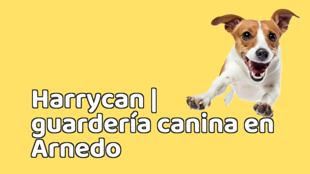 Guarderia Canina en Harrycan | guardería canina en Arnedo