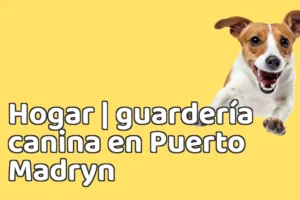 Hogar | guardería canina en Puerto Madryn