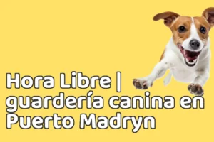 Hora Libre | guardería canina en Puerto Madryn