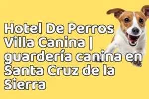 Hotel De Perros Villa Canina | guardería canina en Santa Cruz de la Sierra