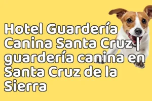 Hotel Guardería Canina Santa Cruz | guardería canina en Santa Cruz de la Sierra