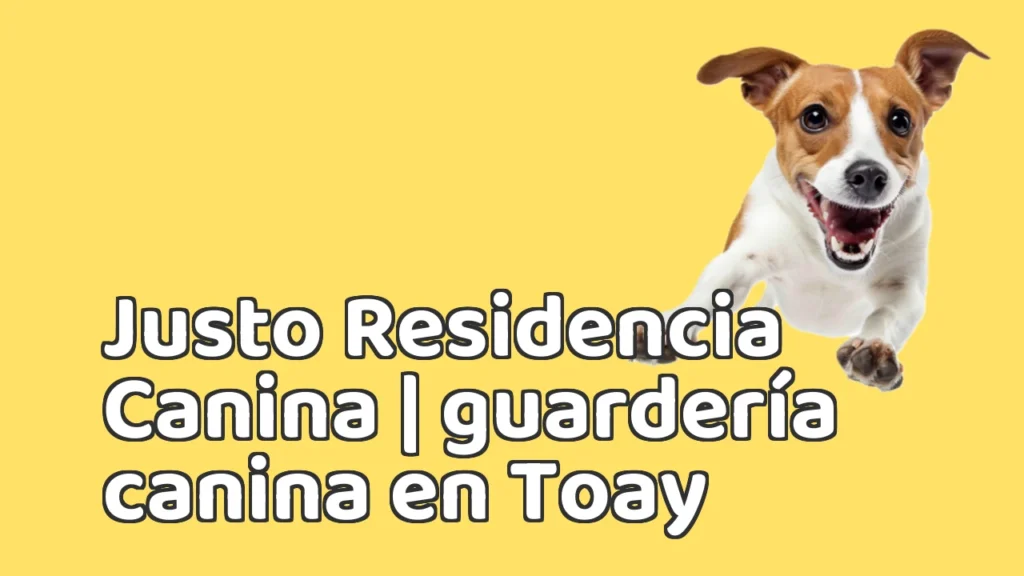 Guarderia Canina en Justo Residencia Canina | guardería canina en Toay Guarderia Canina en Justo Residencia Canina | guardería canina en Toay