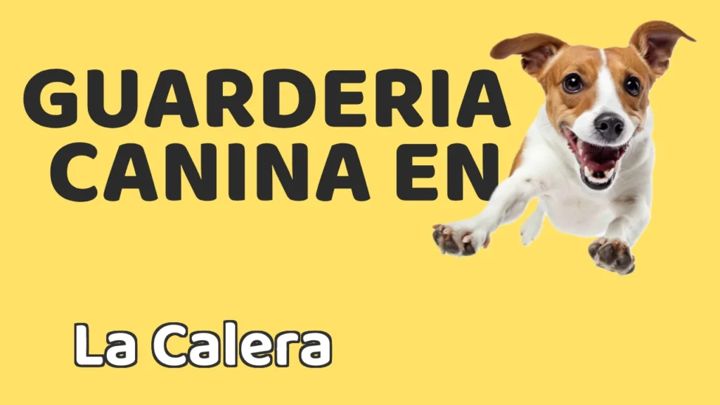 Guarderia Canina en Guardería canina en La Calera