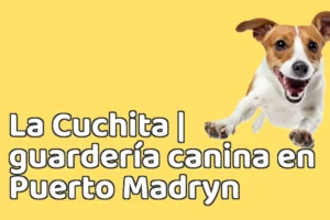 La Cuchita | guardería canina en Puerto Madryn