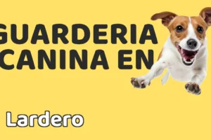 Guardería canina en Lardero