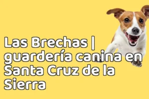 Las Brechas | guardería canina en Santa Cruz de la Sierra