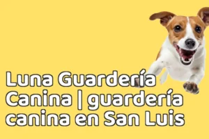 Luna Guardería Canina | guardería canina en San Luis