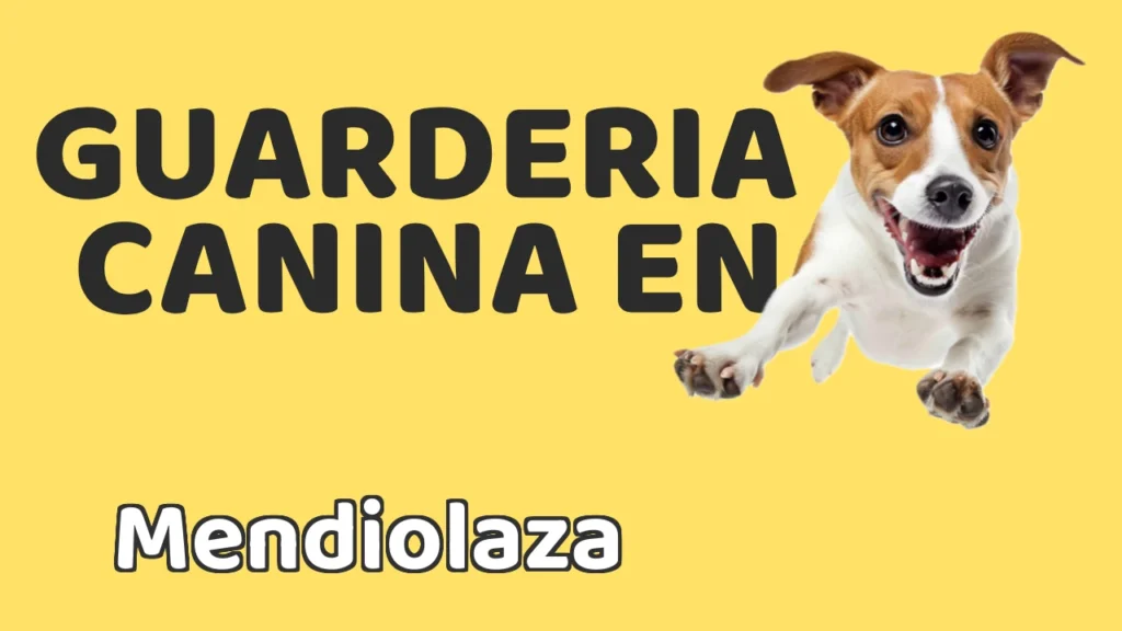 Guarderia Canina en Guardería canina en Mendiolaza