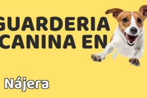Guardería canina en Nájera