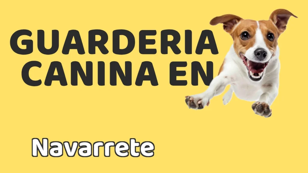 Guarderia Canina en Guardería canina en Navarrete